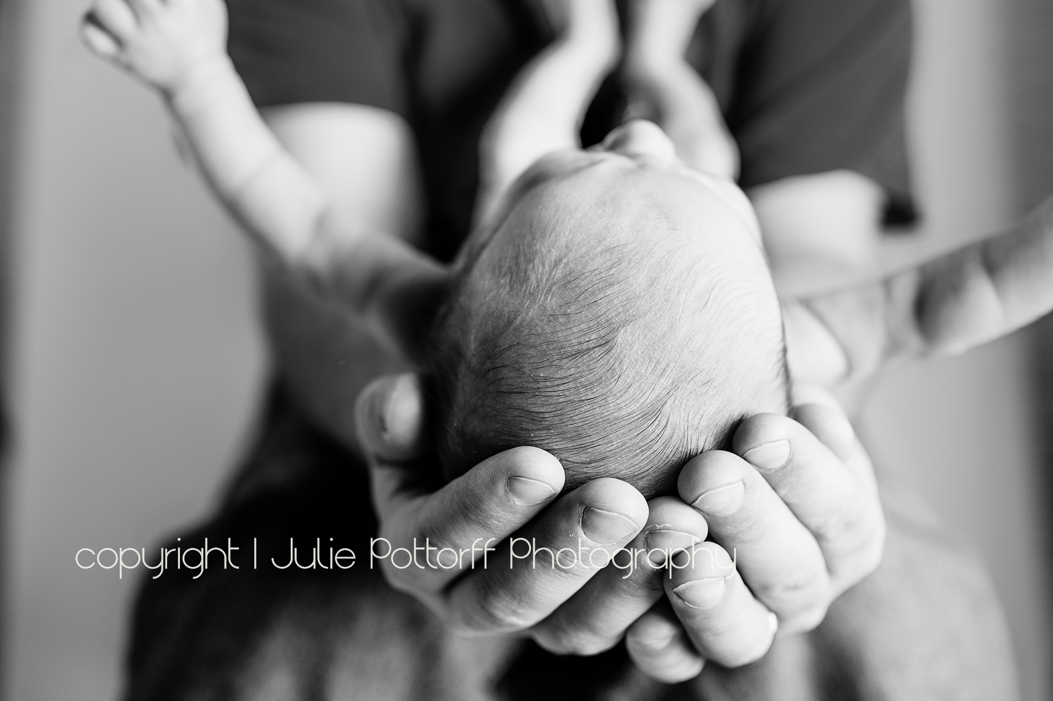 newborn photographer olney il