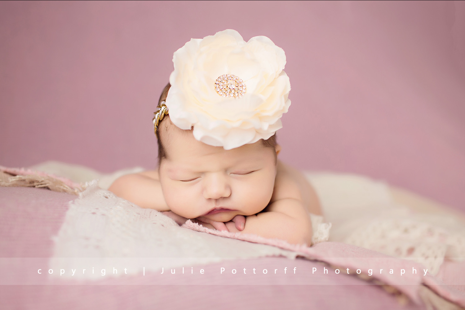 flora il newborn photographer