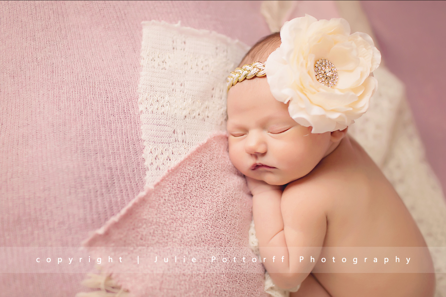 central il newborn photographer