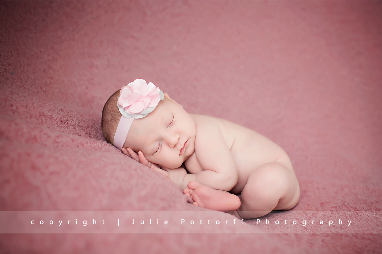 effingham il newborn photography