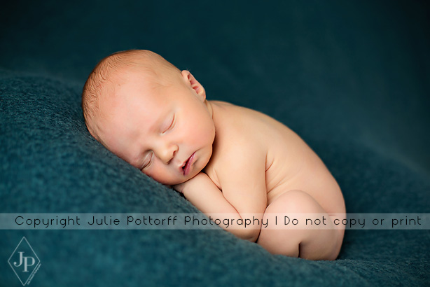 southern illinois newborn photography