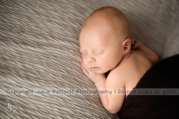 southern illinois newborn photography